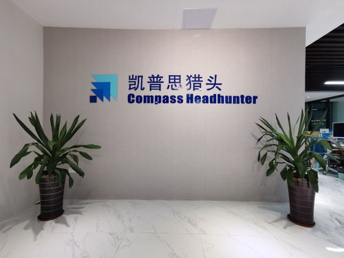 廣東凱普思企業管理咨詢 賦能企業，驅動卓越成長